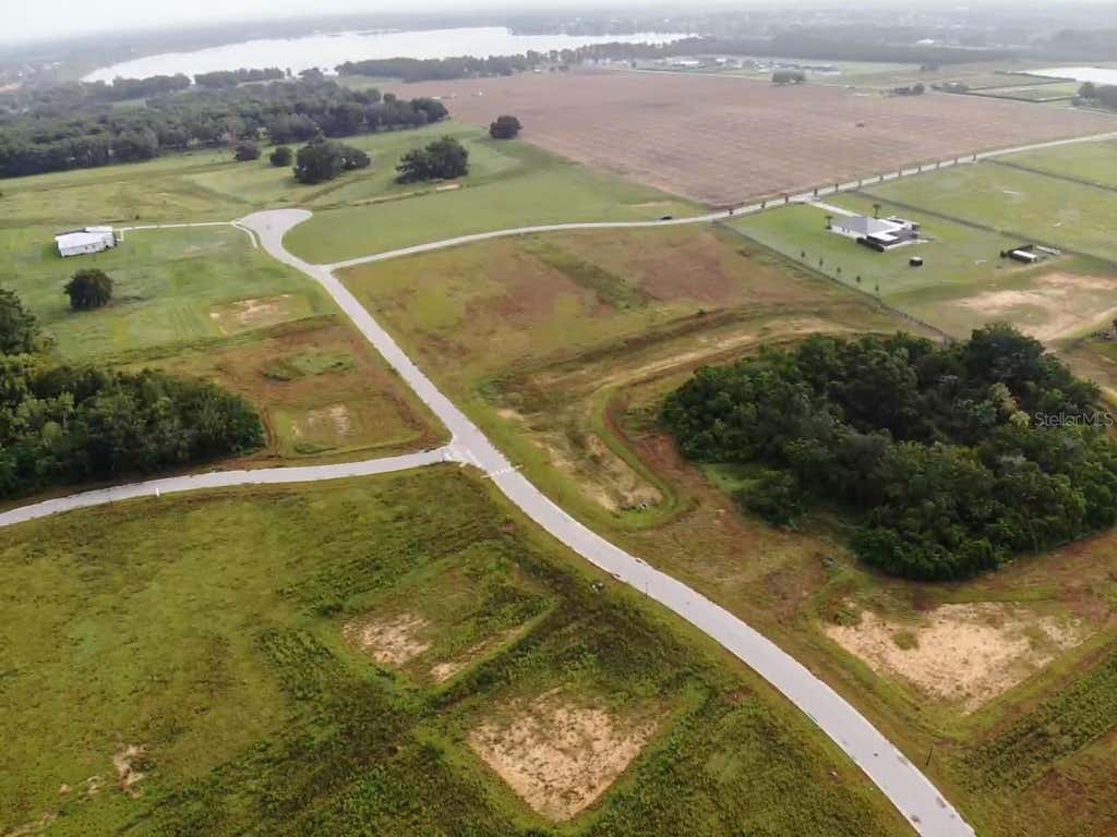 Photo of White Egret Drive, Thonotosassa, FL 33592 (MLS # O6434551)