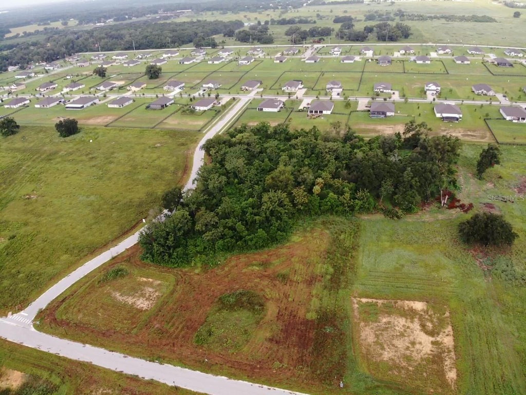 Photo of White Egret Drive, Thonotosassa, FL 33592 (MLS # O6434551)