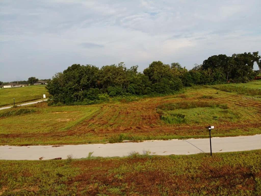 Photo of White Egret Drive, Thonotosassa, FL 33592 (MLS # O6434551)