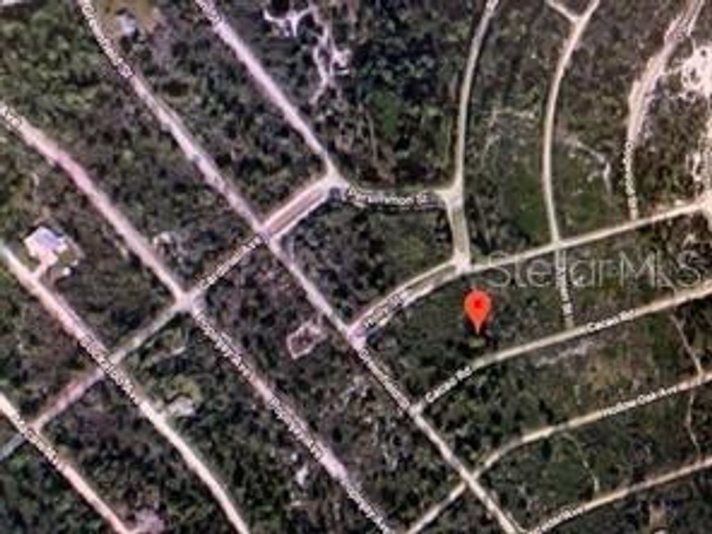 Photo of 3121 Cacao Road, Lake Placid, FL 33852 (MLS # O5851255)