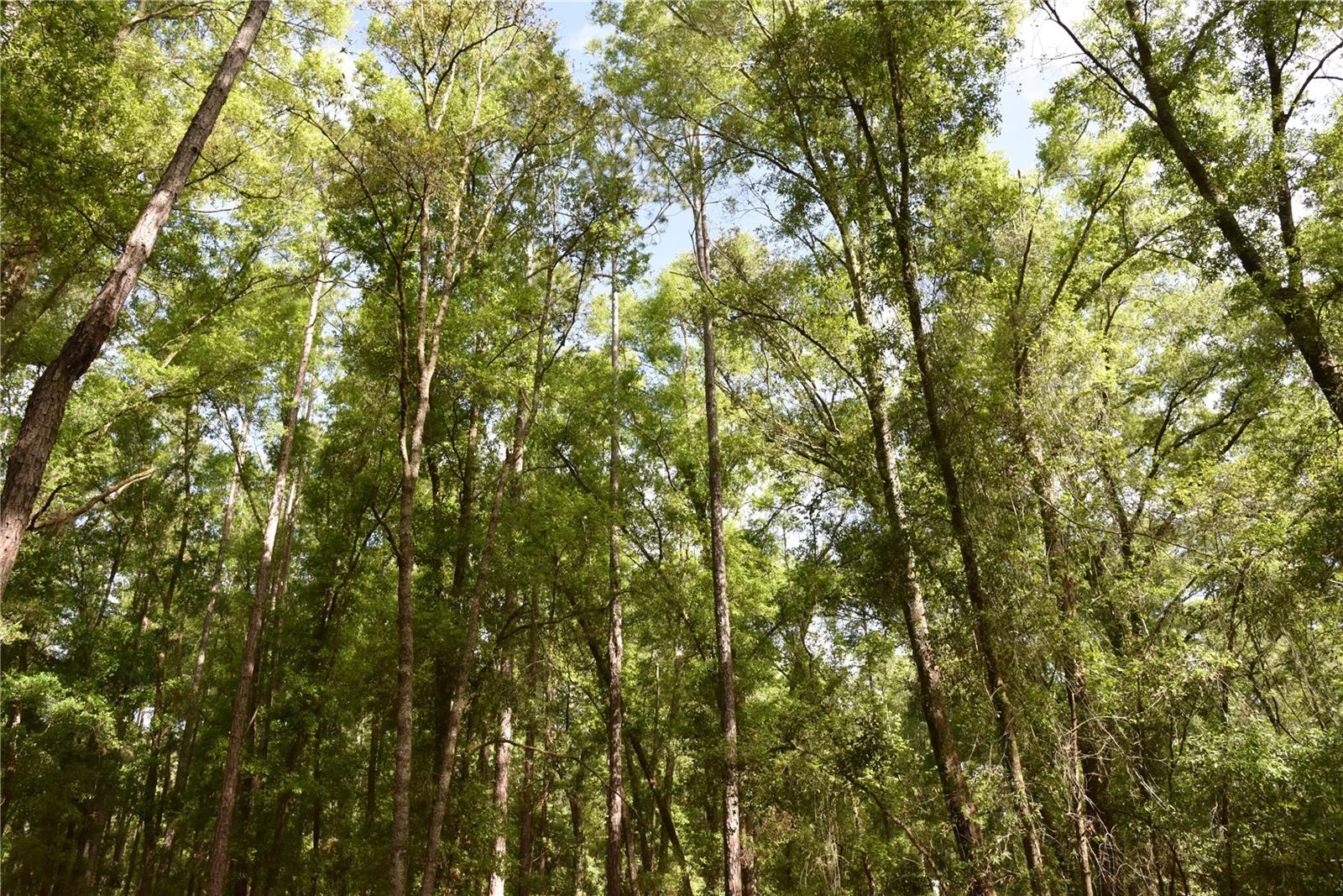 SILVER RIDGE SUB - Residential