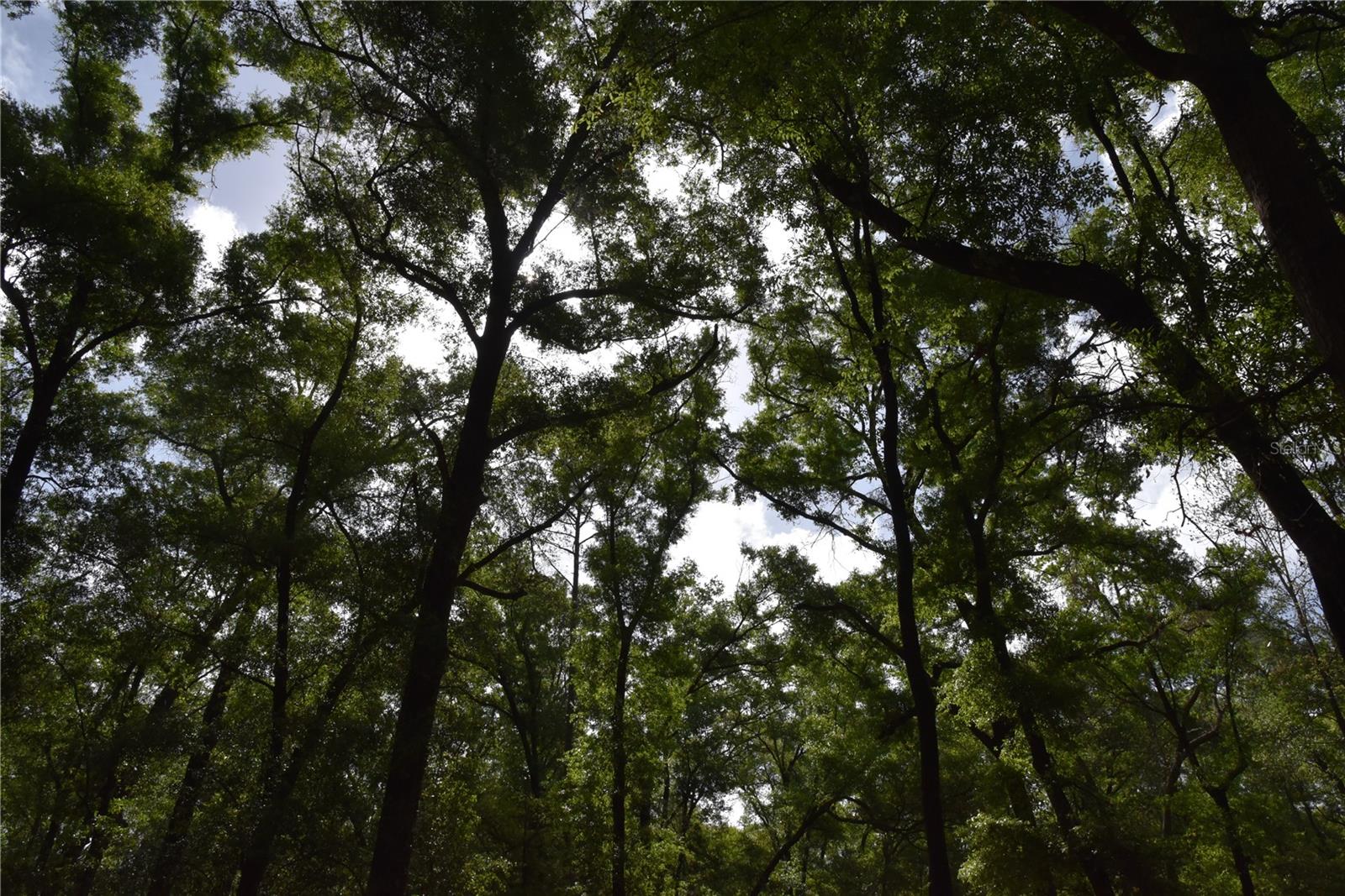 SILVER RIDGE SUB - Residential