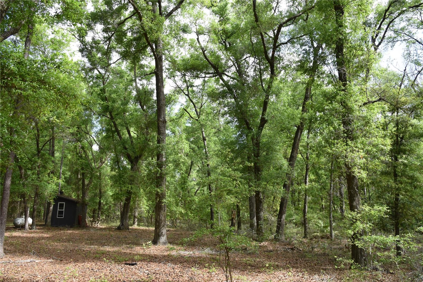 SILVER RIDGE SUB - Residential