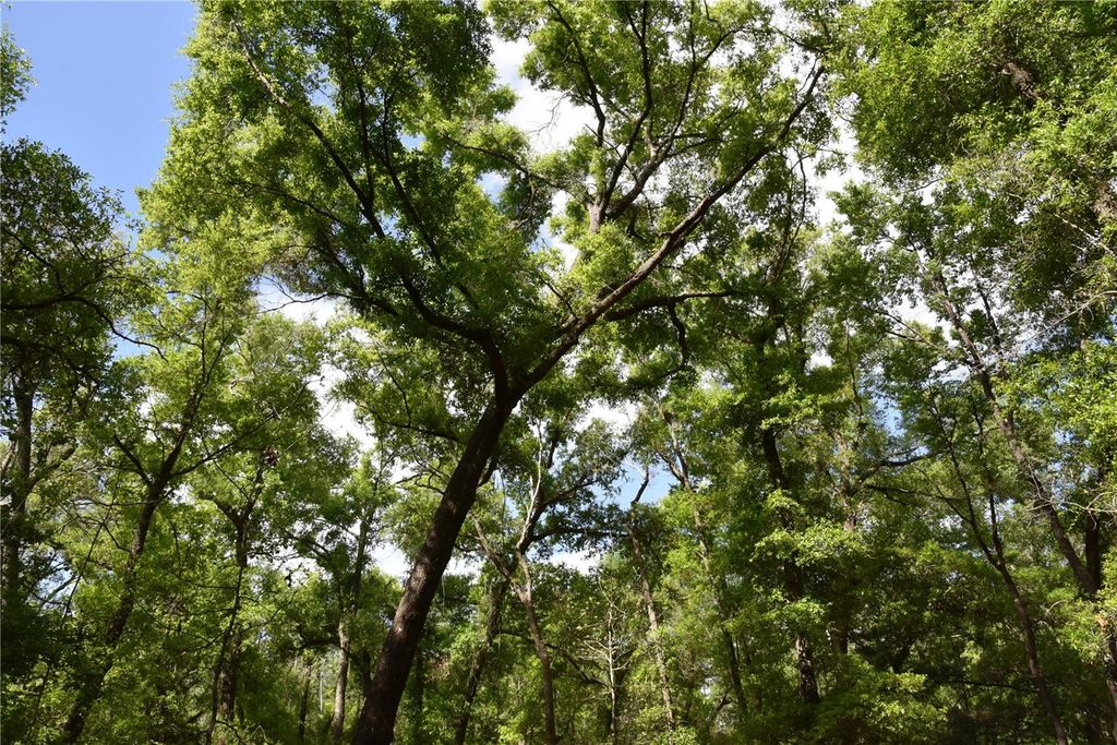 Photo of 1859 NE 46th Circle, High Springs, FL 32643 (MLS # OM723091)