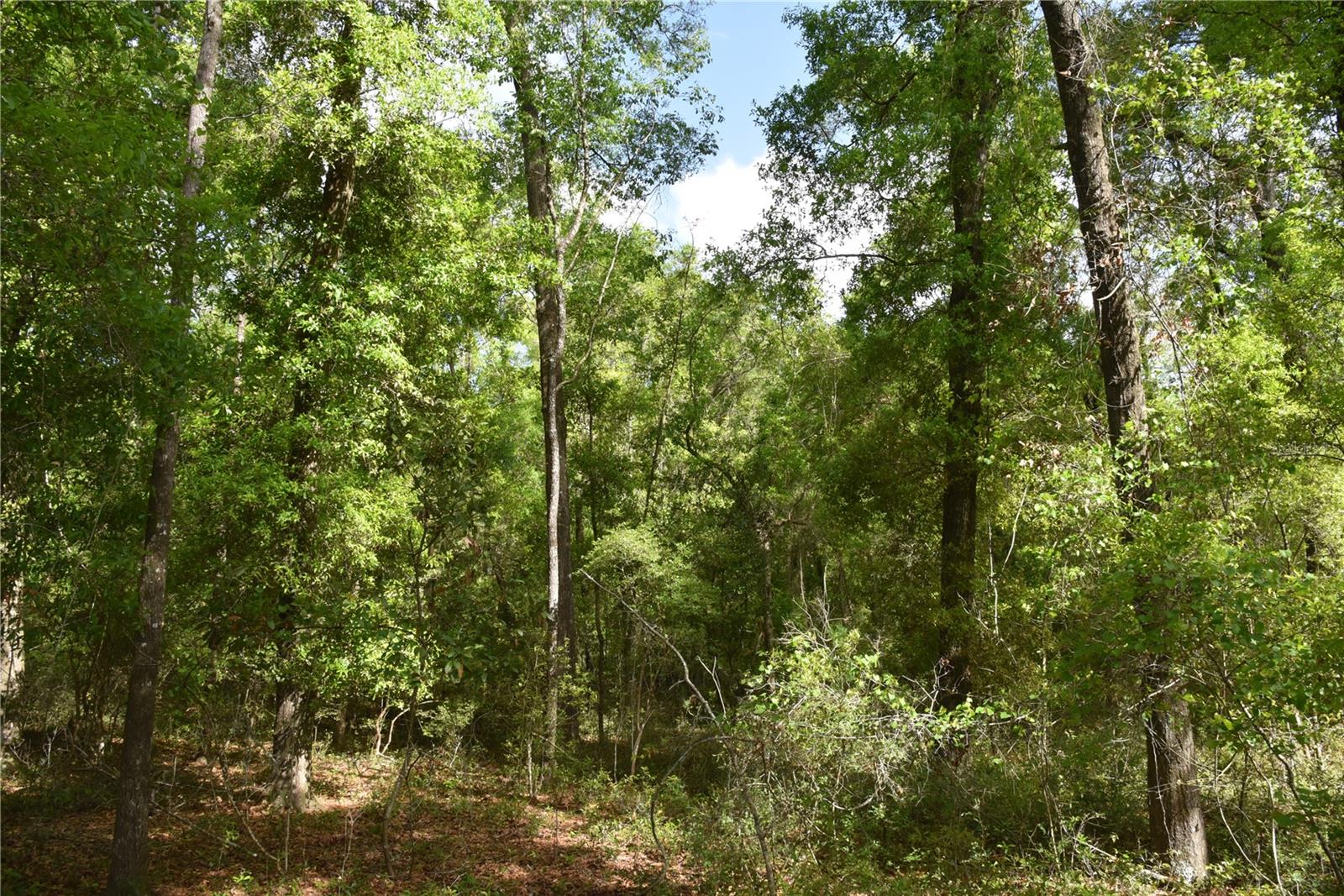 SILVER RIDGE SUB - Residential