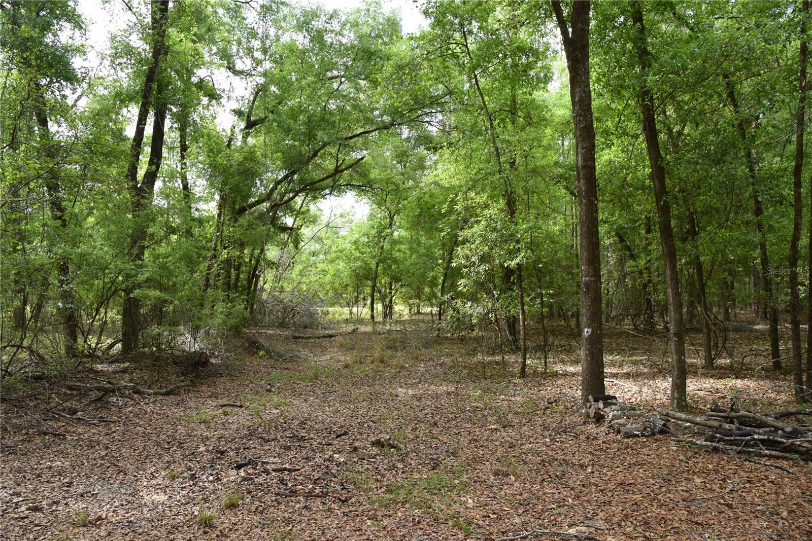 SILVER RIDGE SUB - Residential