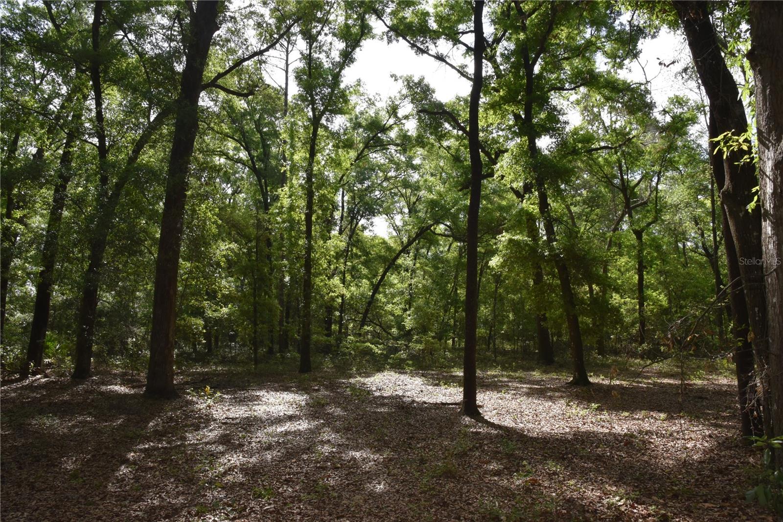 SILVER RIDGE SUB - Residential