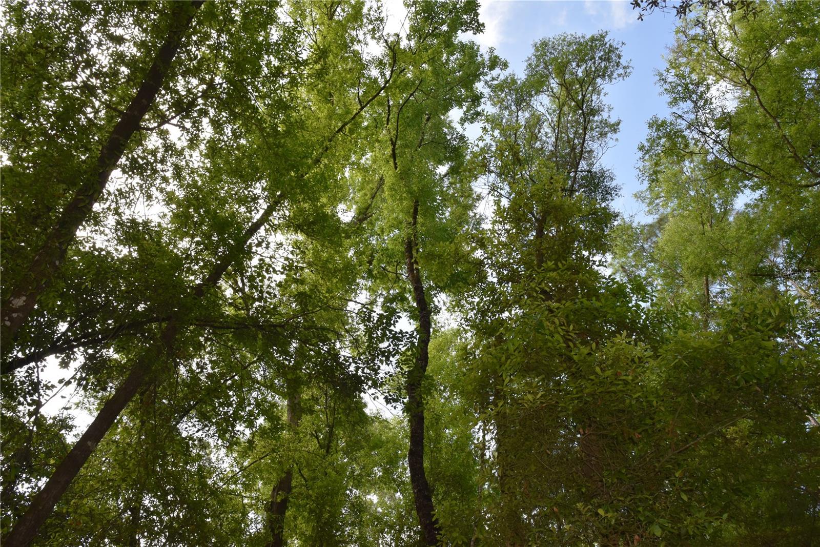 SILVER RIDGE SUB - Residential