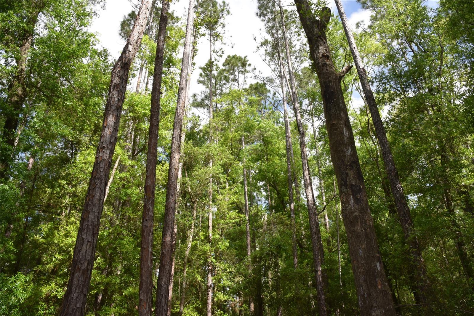 SILVER RIDGE SUB - Residential