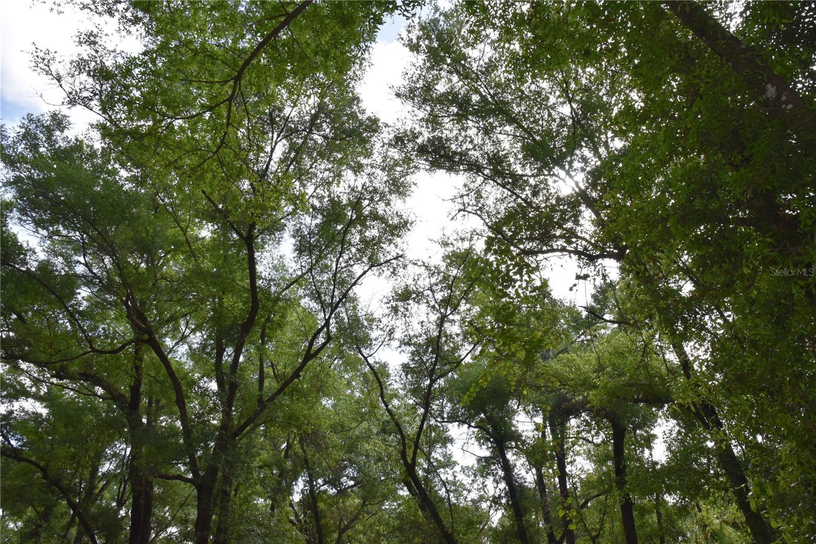 SILVER RIDGE SUB - Residential