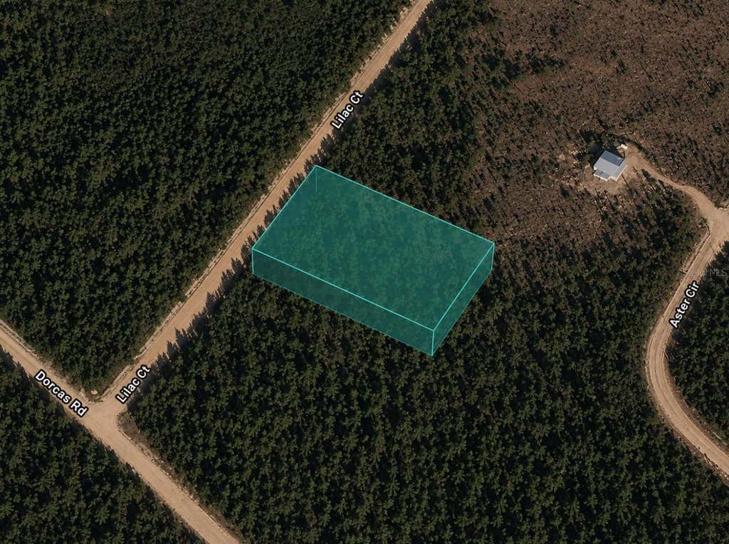 Photo of Lilac Court, Marianna, FL 32448 (MLS # TB8517508)