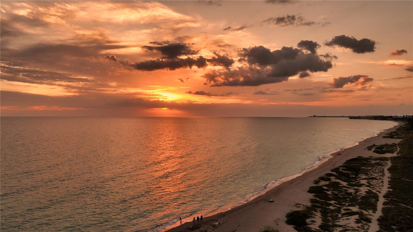 TORTOISE ESTATES - Residential Lease