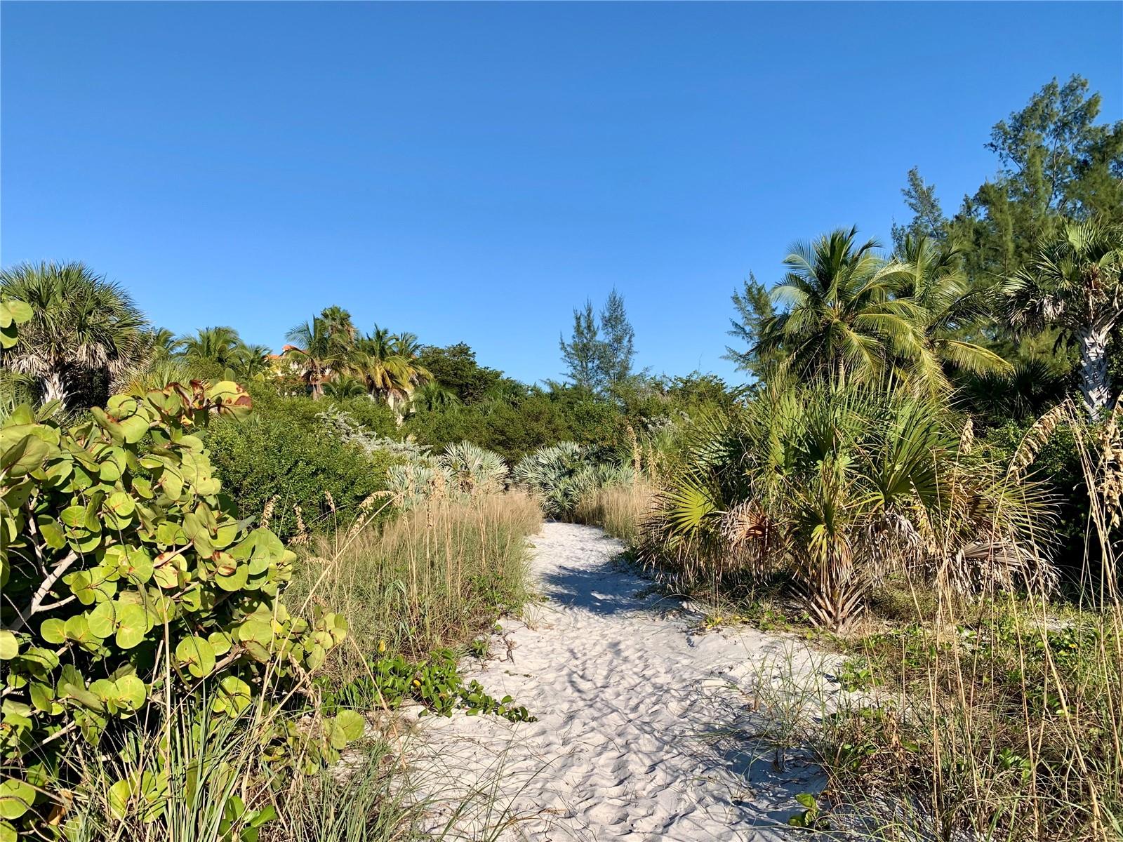 LIDO SHORES - Residential