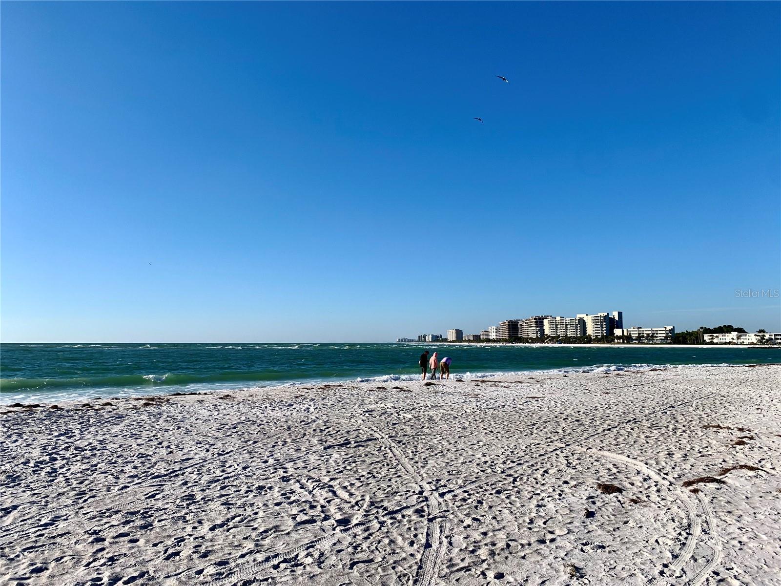 LIDO SHORES - Residential