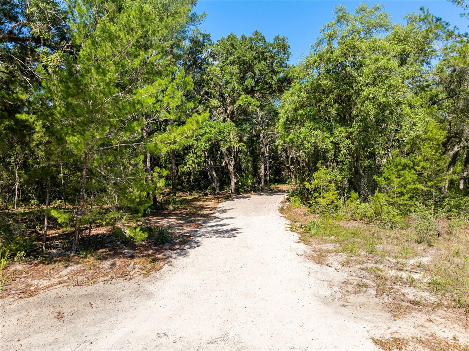 HAPPY TRAILS - Land