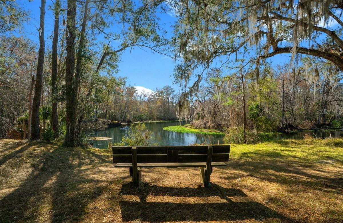 TOWN PARK AT THE WILDERNESS RV PARK ESTATES - Residential