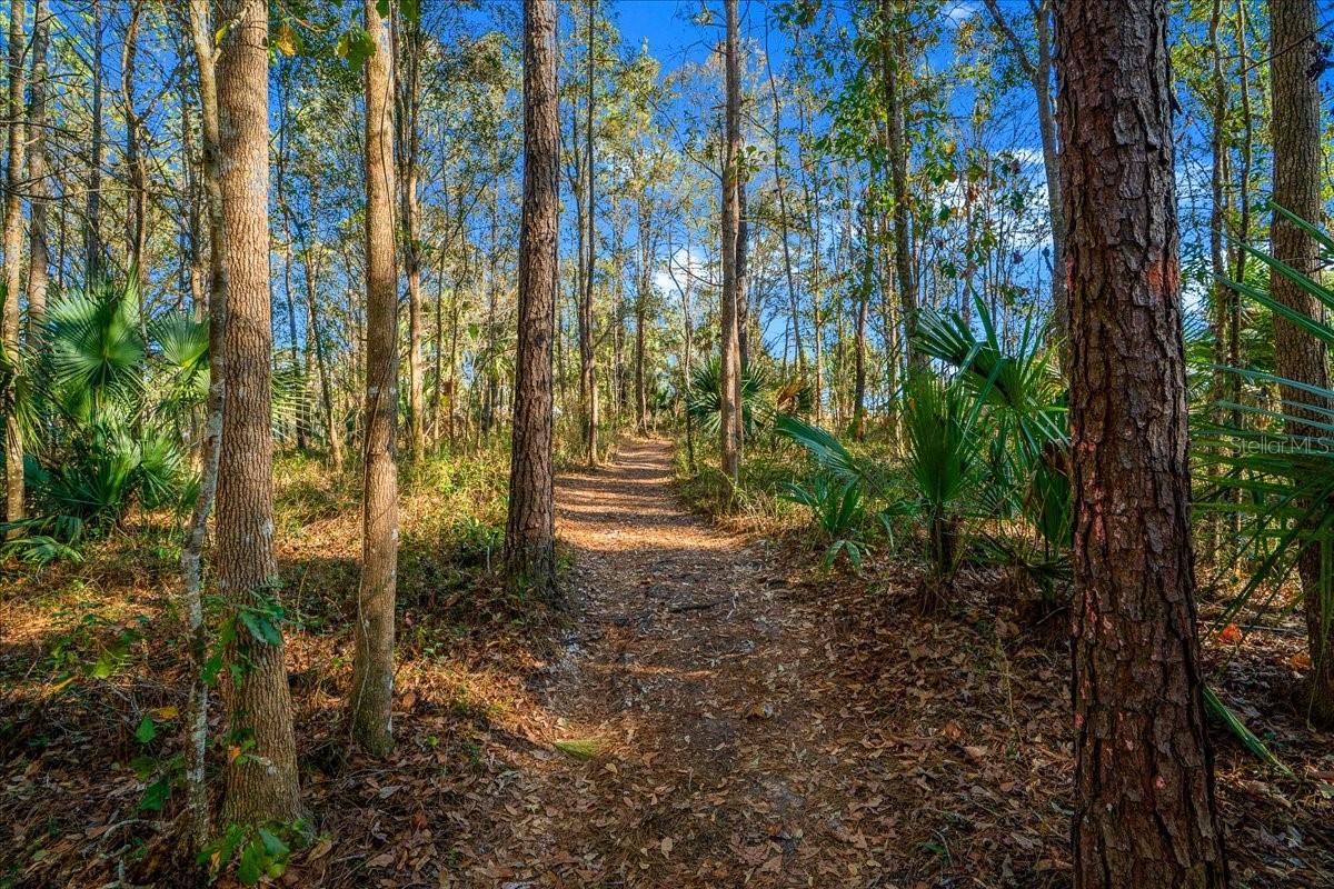 TOWN PARK AT THE WILDERNESS RV PARK ESTATES - Residential