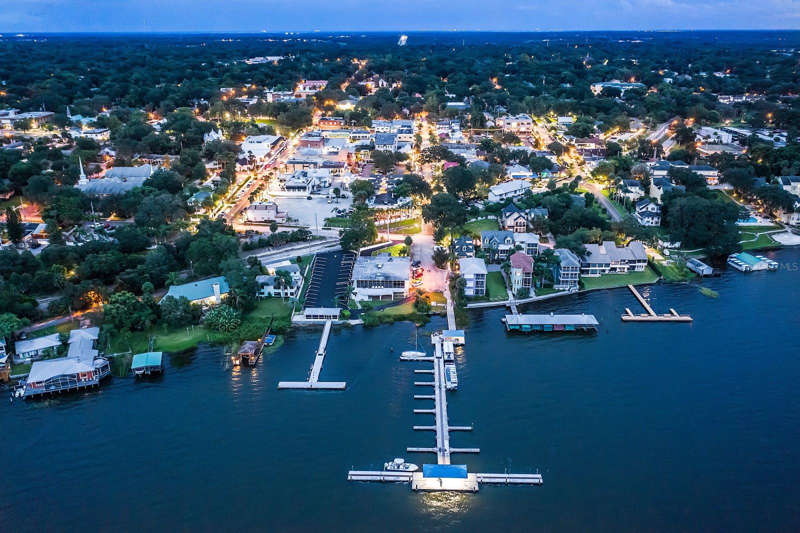 MOUNT DORA LAKE DORA VILLAS CONDO - Residential
