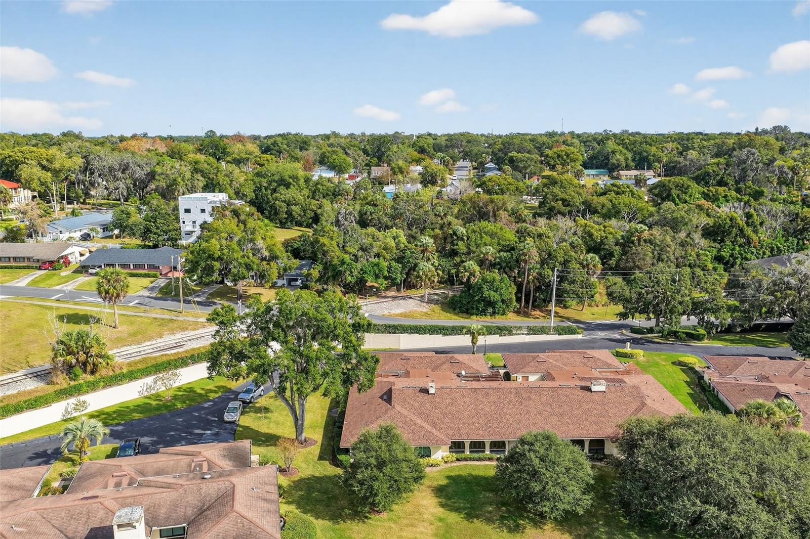 MOUNT DORA LAKE DORA VILLAS CONDO - Residential