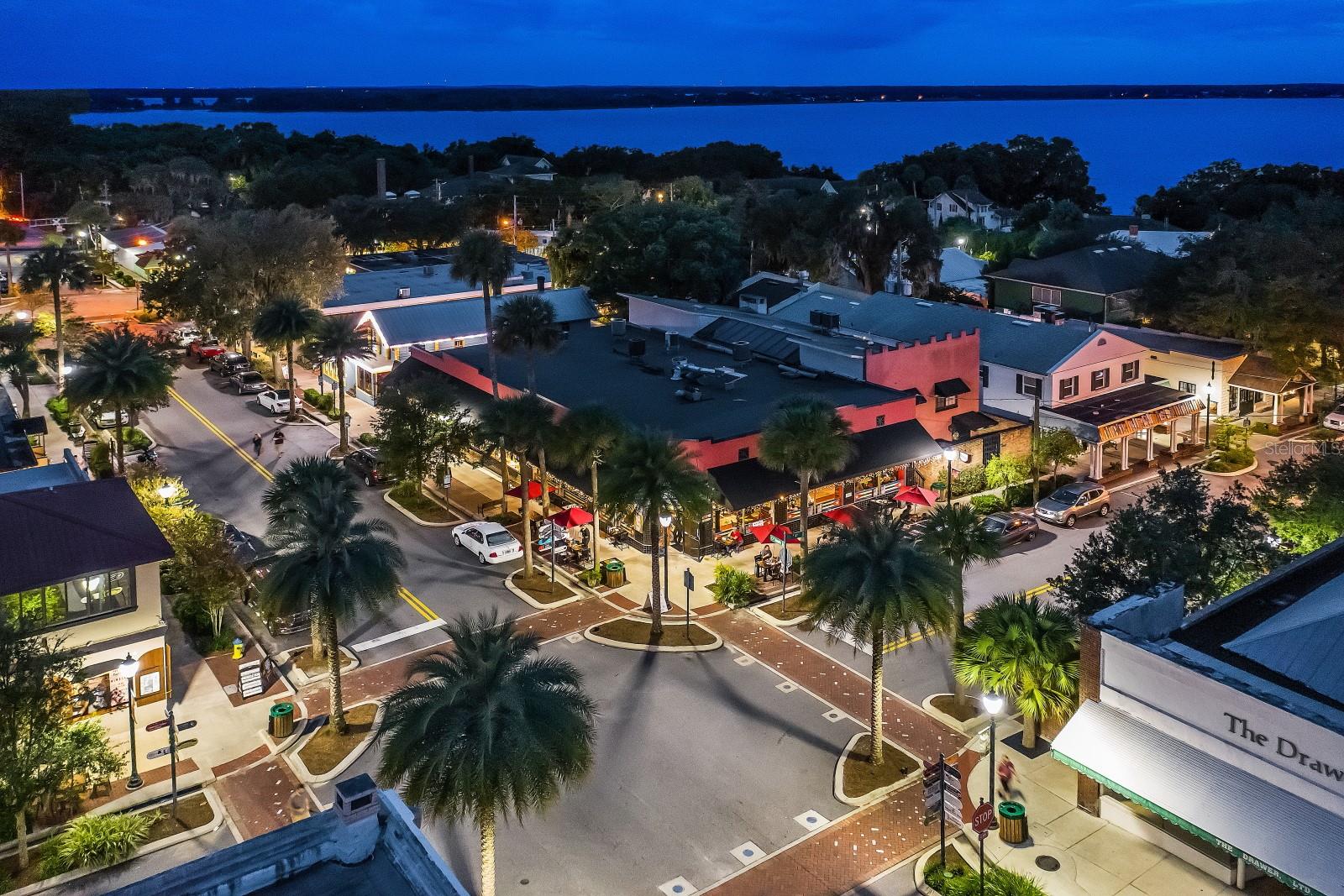MOUNT DORA LAKE DORA VILLAS CONDO - Residential