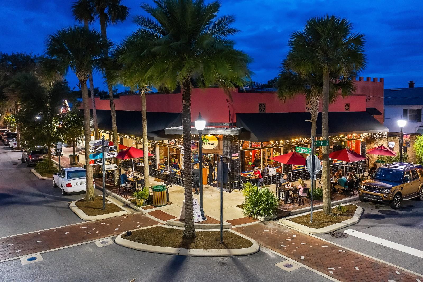 MOUNT DORA LAKE DORA VILLAS CONDO - Residential