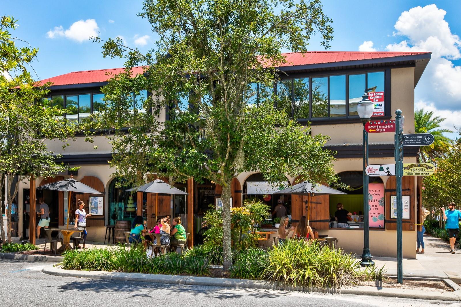 MOUNT DORA LAKE DORA VILLAS CONDO - Residential