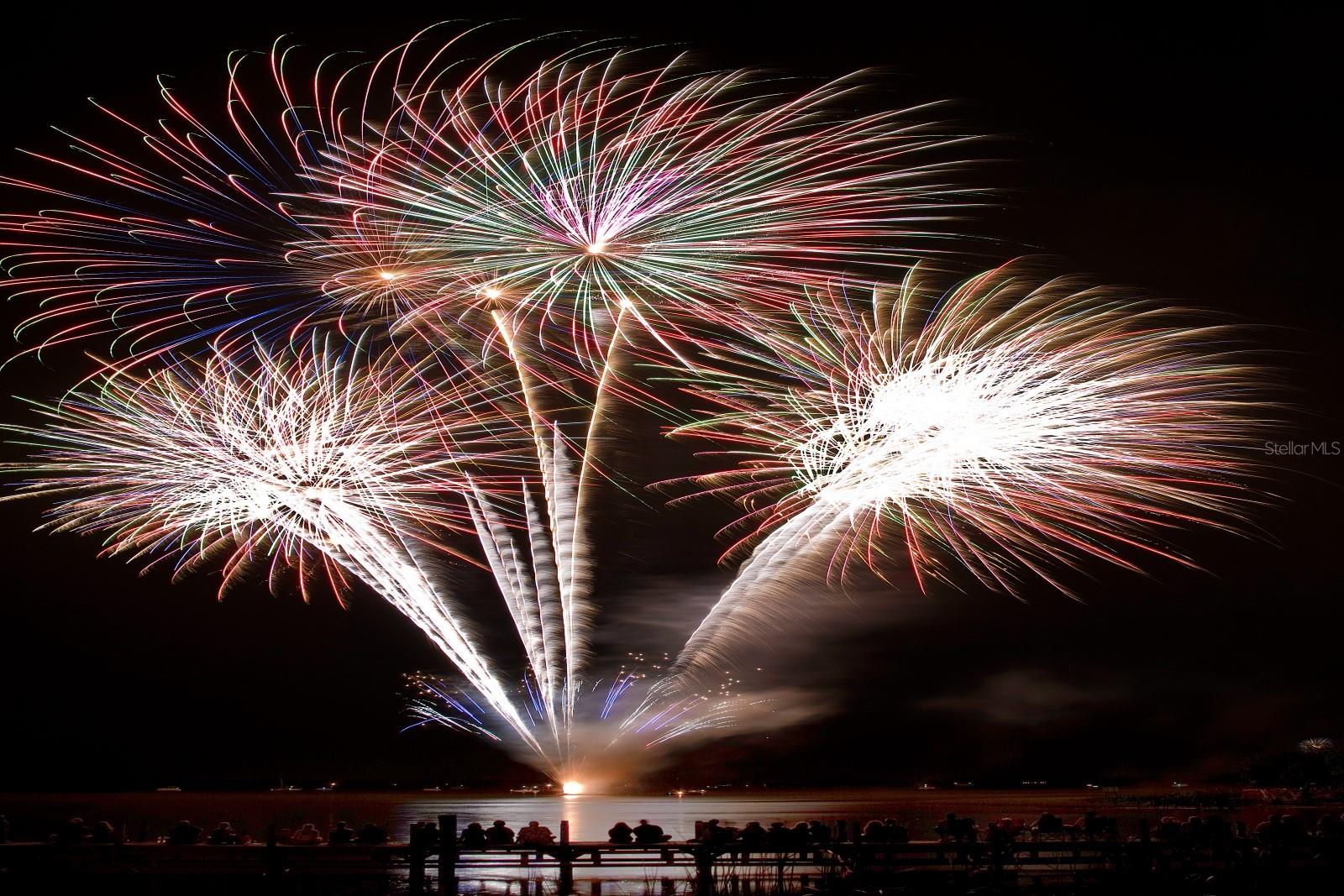 MOUNT DORA LAKE DORA VILLAS CONDO - Residential