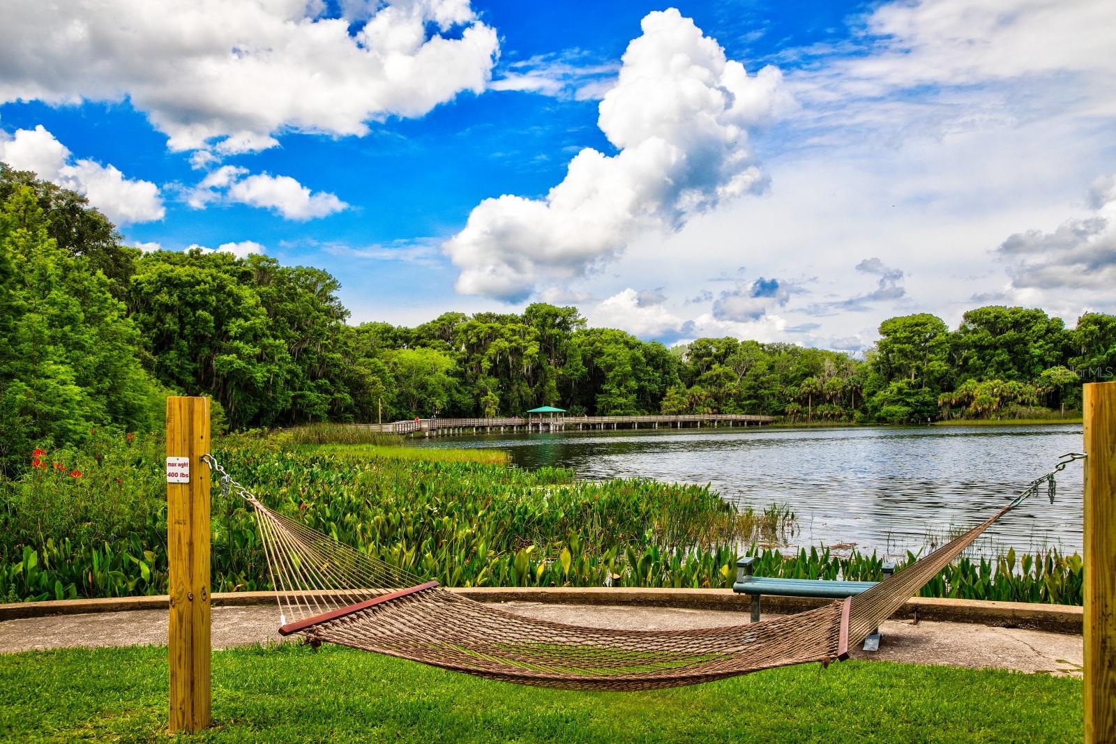 MOUNT DORA LAKE DORA VILLAS CONDO - Residential