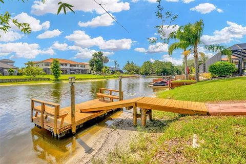 A home in TAMPA