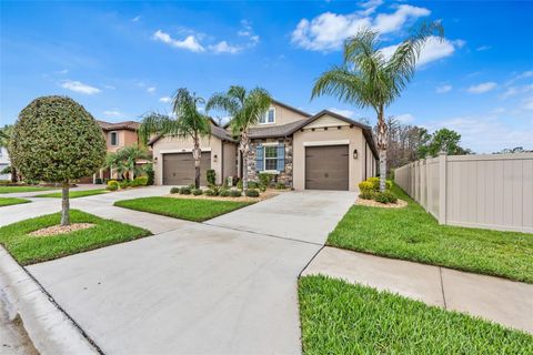4495 CASELLA DRIVE WESLEY CHAPEL FL 33543