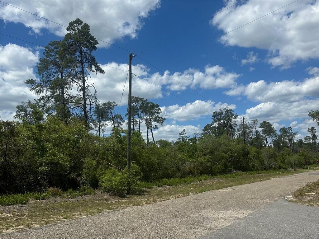 Photo of 8036 N Wayside Avenue, Dunnellon, FL 34433 (MLS # TB8500739)