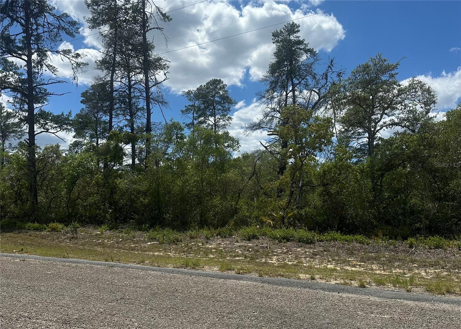 CITRUS SPGS UNIT 10 - Land