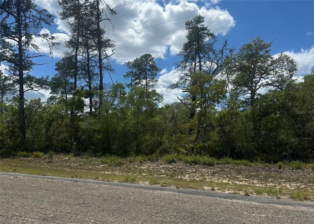 Photo of 8036 N Wayside Avenue, Dunnellon, FL 34433 (MLS # TB8500739)