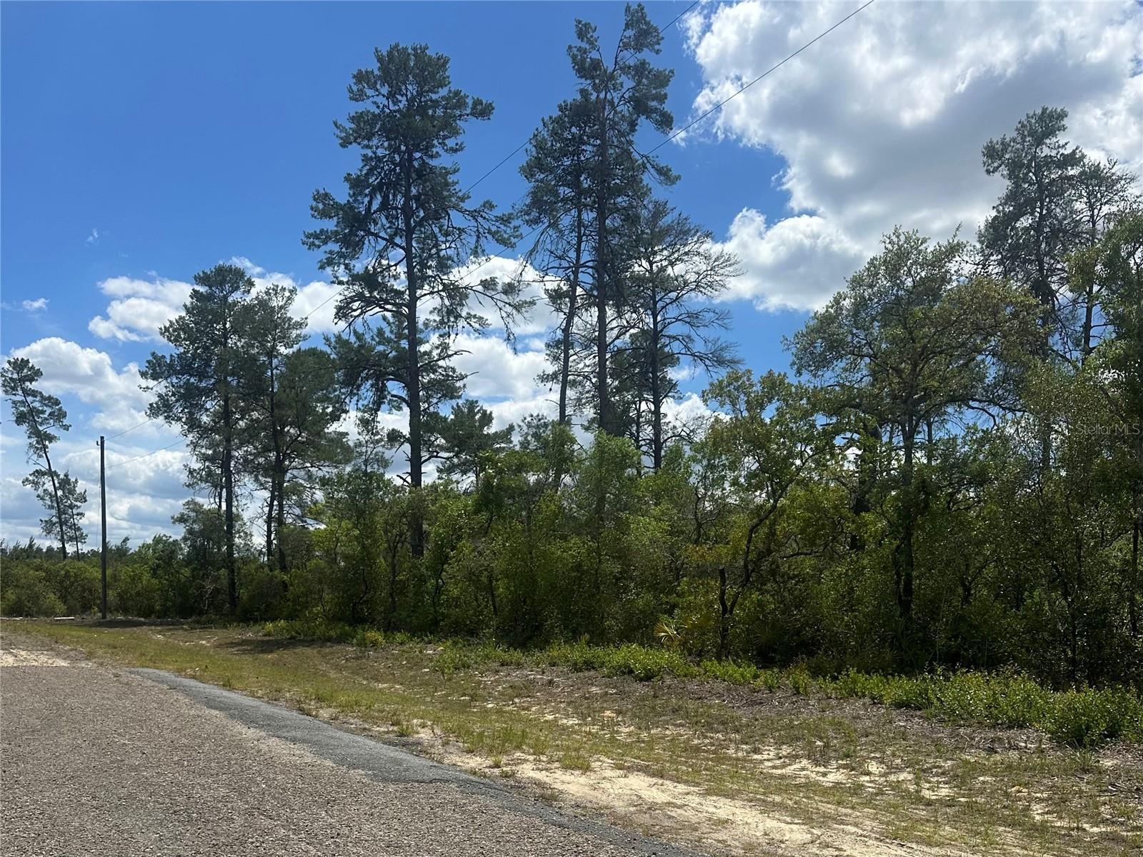 CITRUS SPGS UNIT 10 - Land