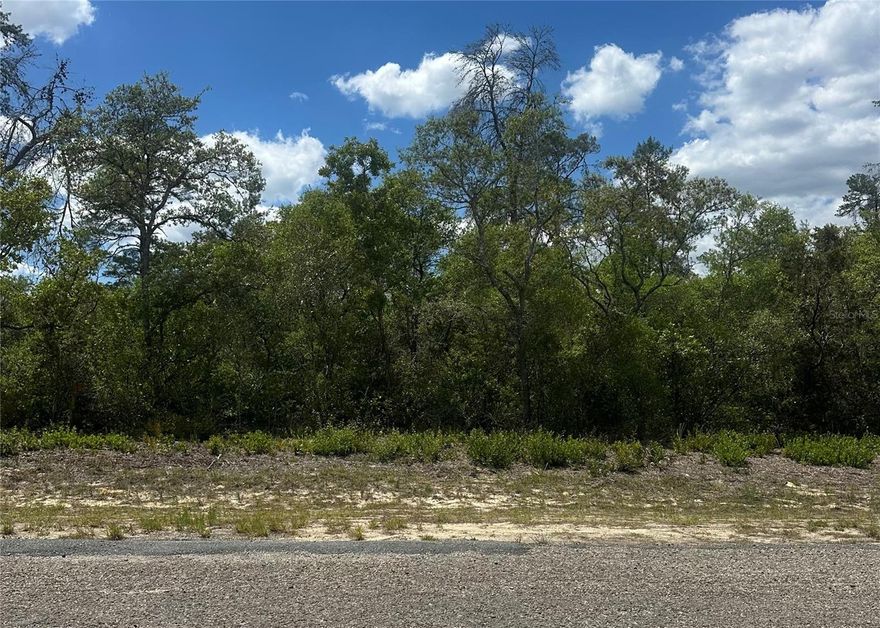 Discover the perfect setting for your future home on this beautiful .5-acre wooded lot tucked away at the end of a quiet street. Offering both privacy and natural charm, this property backs up to an expansive 18-acre parcel, creating a peaceful backdrop with added seclusion. Situated in a growing subdivision, this property is surrounded by newer construction, making it a smart choice for both homeowners and investors looking to be part of an up-and-coming area. The setting provides a serene, wooded atmosphere while still being part of an actively developing neighborhood. Whether you're ready to build now or planning for the future, this lot offers the space, location, and potential you’ve been searching for. Don’t miss this chance to own a prime homesite in a desirable and evolving community.