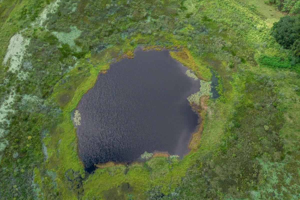 LAKE ELLA - Residential