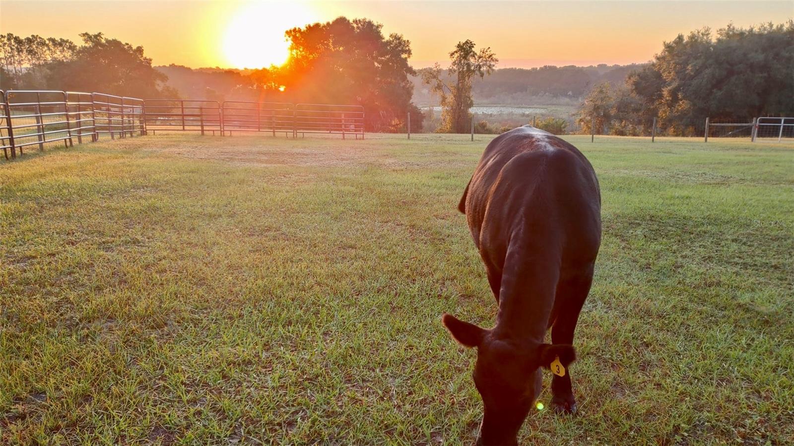 LAKE ELLA - Residential