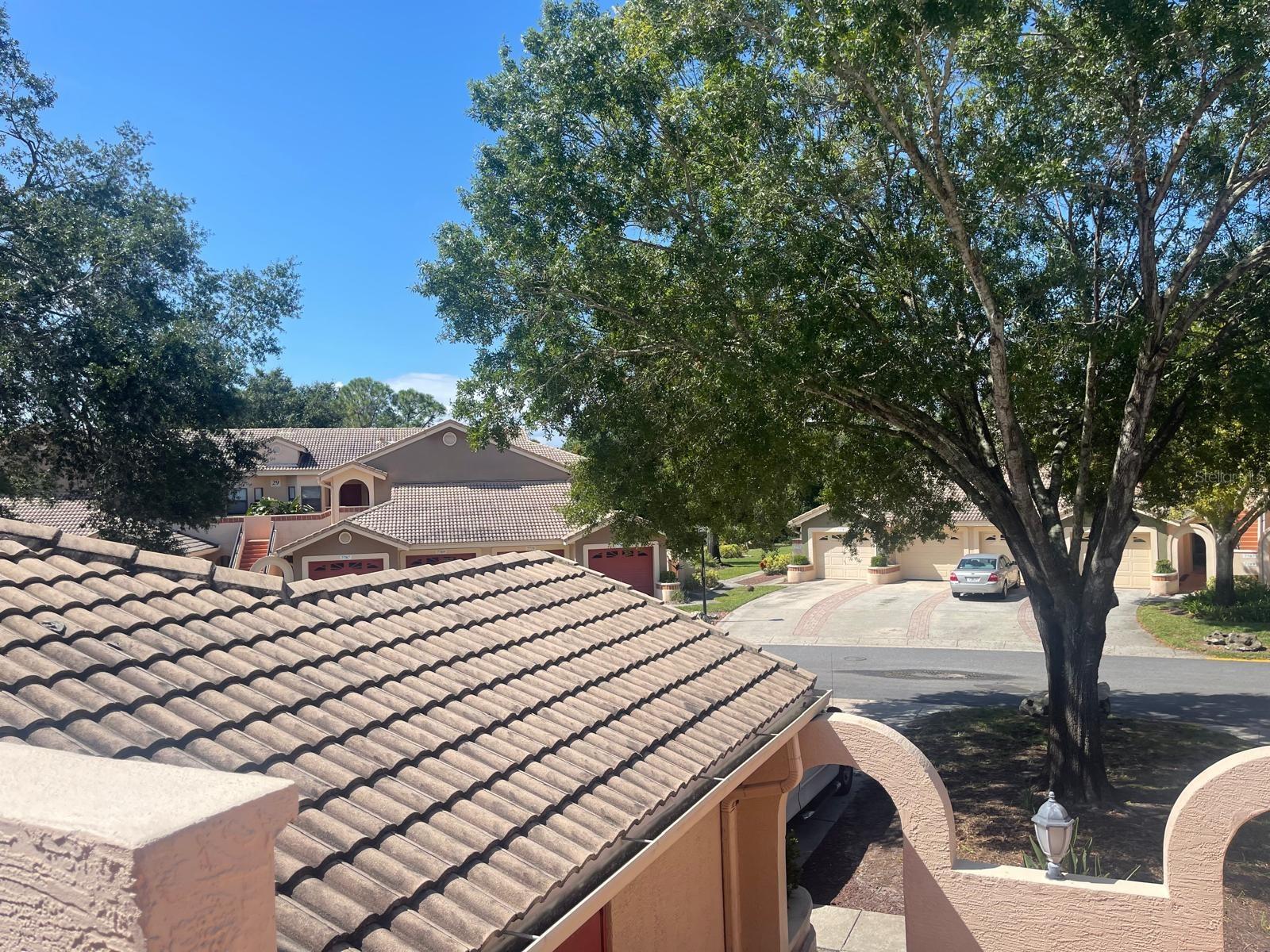 SANCTUARY/BAY HILL - Residential