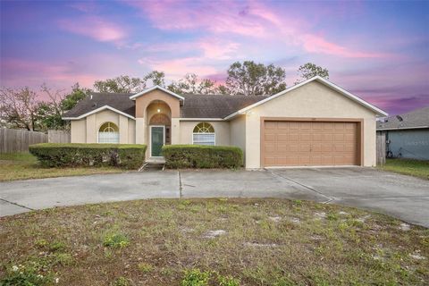 A home in DELTONA