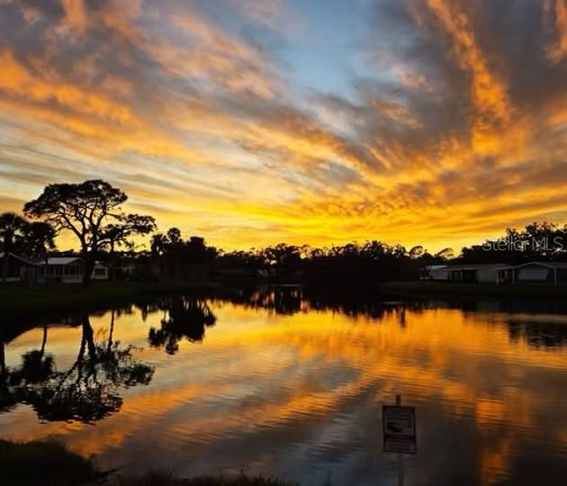 TANGERINE WOODS - Residential