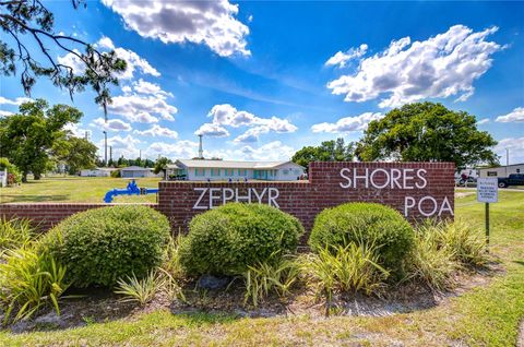 A home in ZEPHYRHILLS