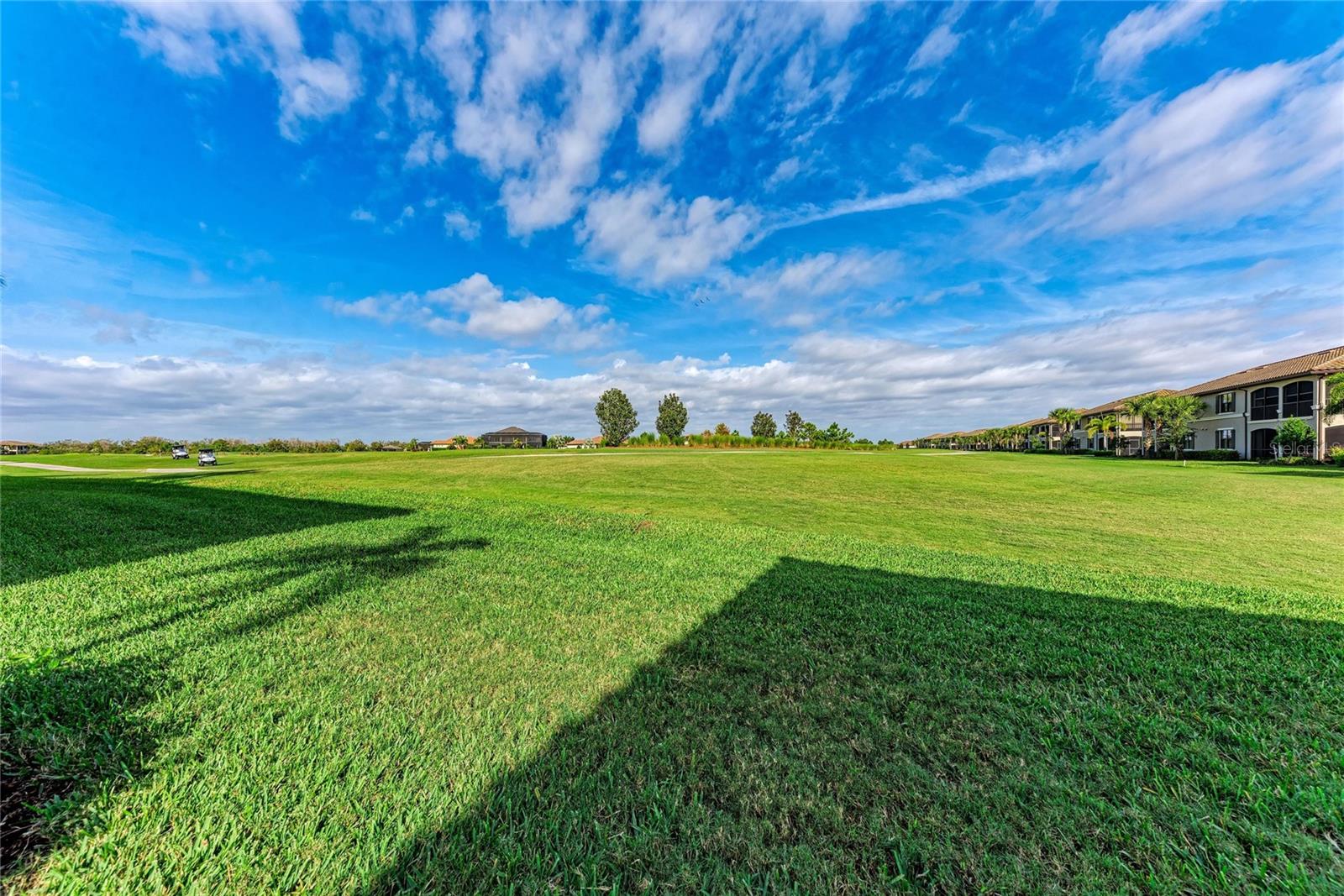 COACH HOMES III AT LAKEWOOD NTL PH 19 - Residential