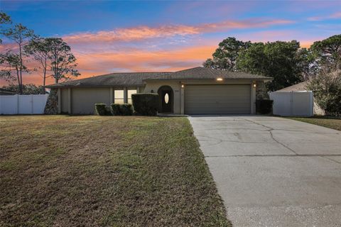 Photo of 2083 Arbuckle Road, Spring Hill, FL 34608 (MLS # TB8445428)