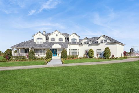 Photo of 17261 Heartwood Loop, Winter Garden, FL 34787 (MLS # O6354268)