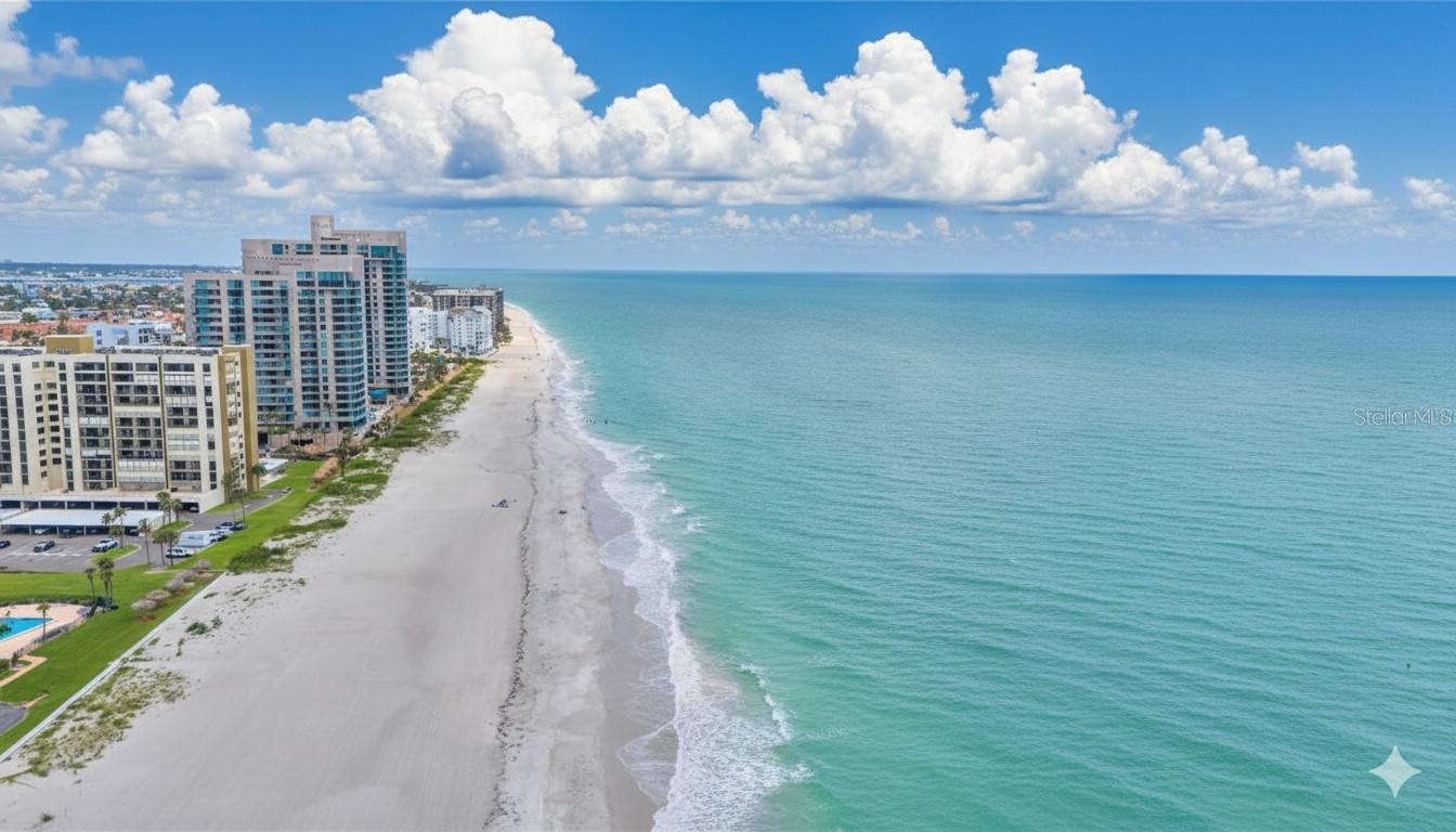 1401 GULF BOULEVARD 216