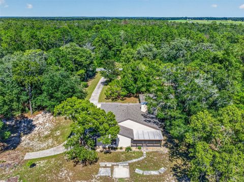 Tiny photo for 2272 SW Grandview Avenue, Dunnellon, FL 34431 (MLS # G5114851)