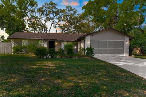 8364 ELDRIDGE ROAD SPRING HILL FL 34608