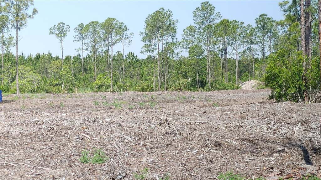 Photo of 1001 Omega Ranch Road #16, New Smyrna Beach, FL 32168 (MLS # O6435607)