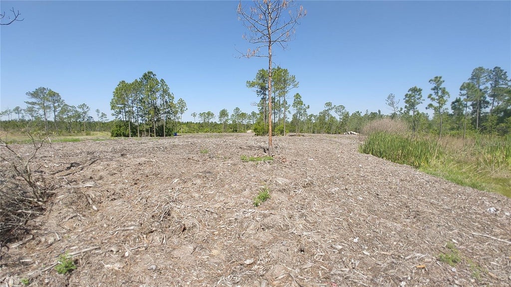 Photo of 1001 Omega Ranch Road #16, New Smyrna Beach, FL 32168 (MLS # O6435607)