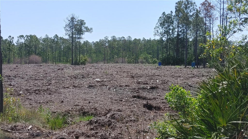 Photo of 1001 Omega Ranch Road #16, New Smyrna Beach, FL 32168 (MLS # O6435607)
